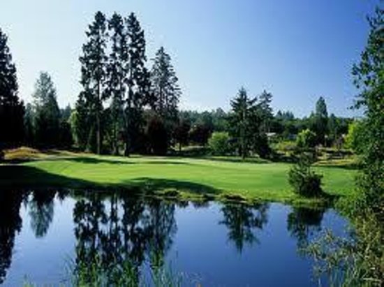 Image result for Morgan Creek surrey